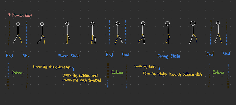gait.png